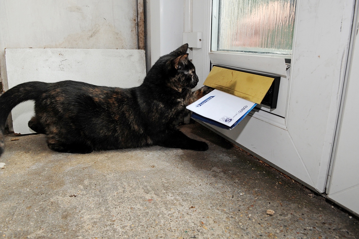 电子邮件格式详解：结构、元素与规范