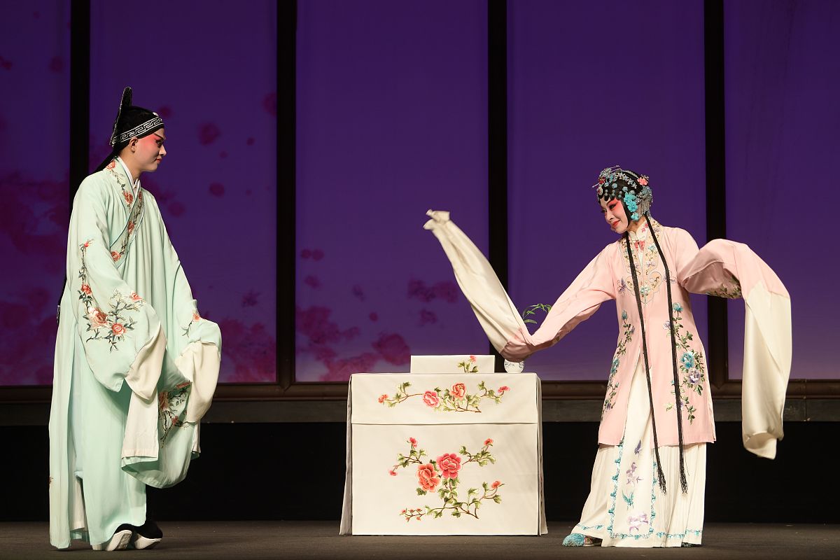 梦见我把已经去世的母亲从快被震倒的房子里救出来是什么意思？