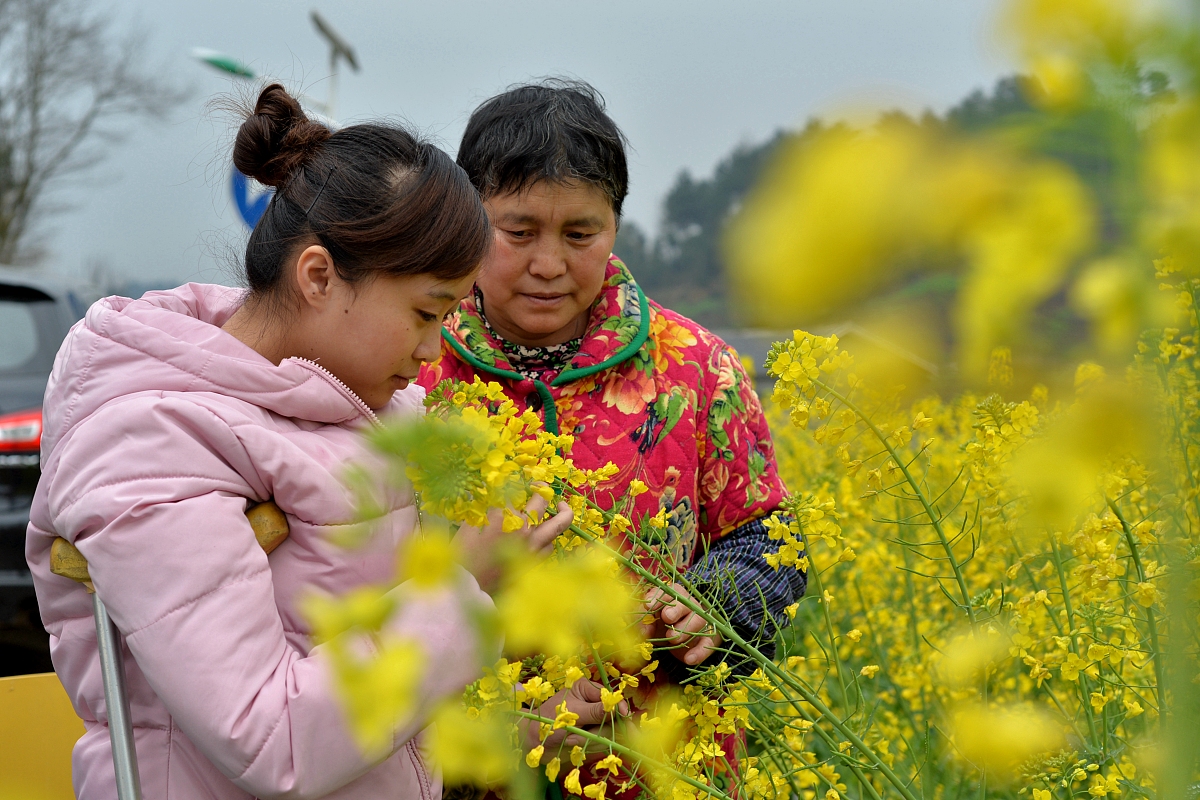 遵义红花岗区中等职业学校汽车美容与装潢专业：招生对象、课程设置、就业前景