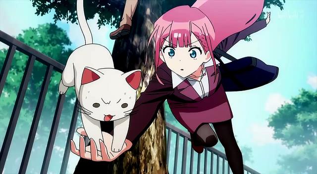 理性与感性碰撞,站队令人头大,我们无法一起学习抛出个无解问题