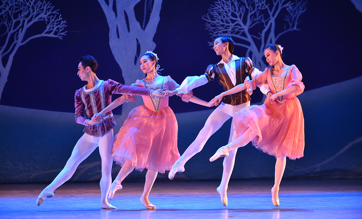 重庆经贸职业学院单招乘务