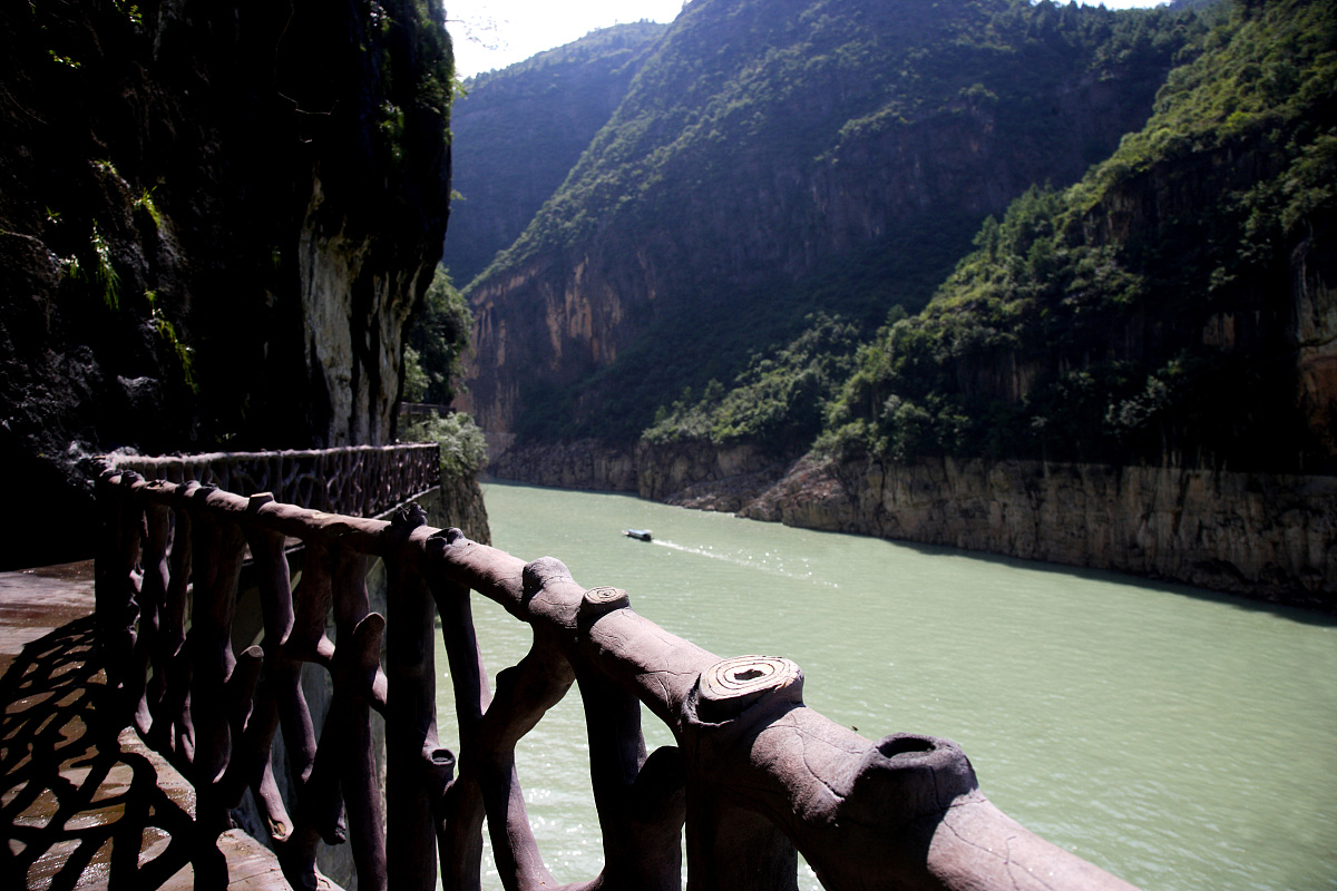 重庆三峡医药高专预防医学专业招生 | 培养未来健康卫士