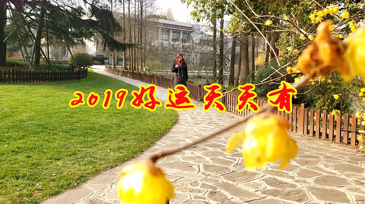 [图]过年了,送您一首吉祥的歌,愿您2019好运天天有!