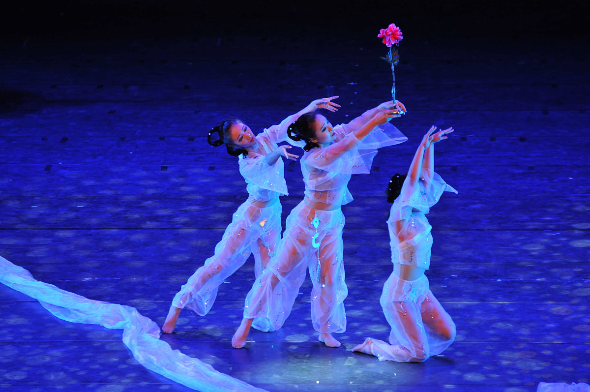 舞蹈《花儿十八》创作背景解析：源于《红楼梦》的古典之美