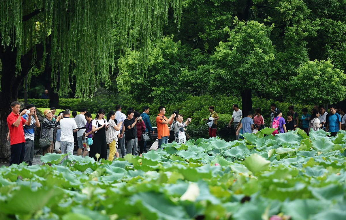 杭州西湖职业高级中学2023年招生电话：0571-xxxxxxxx