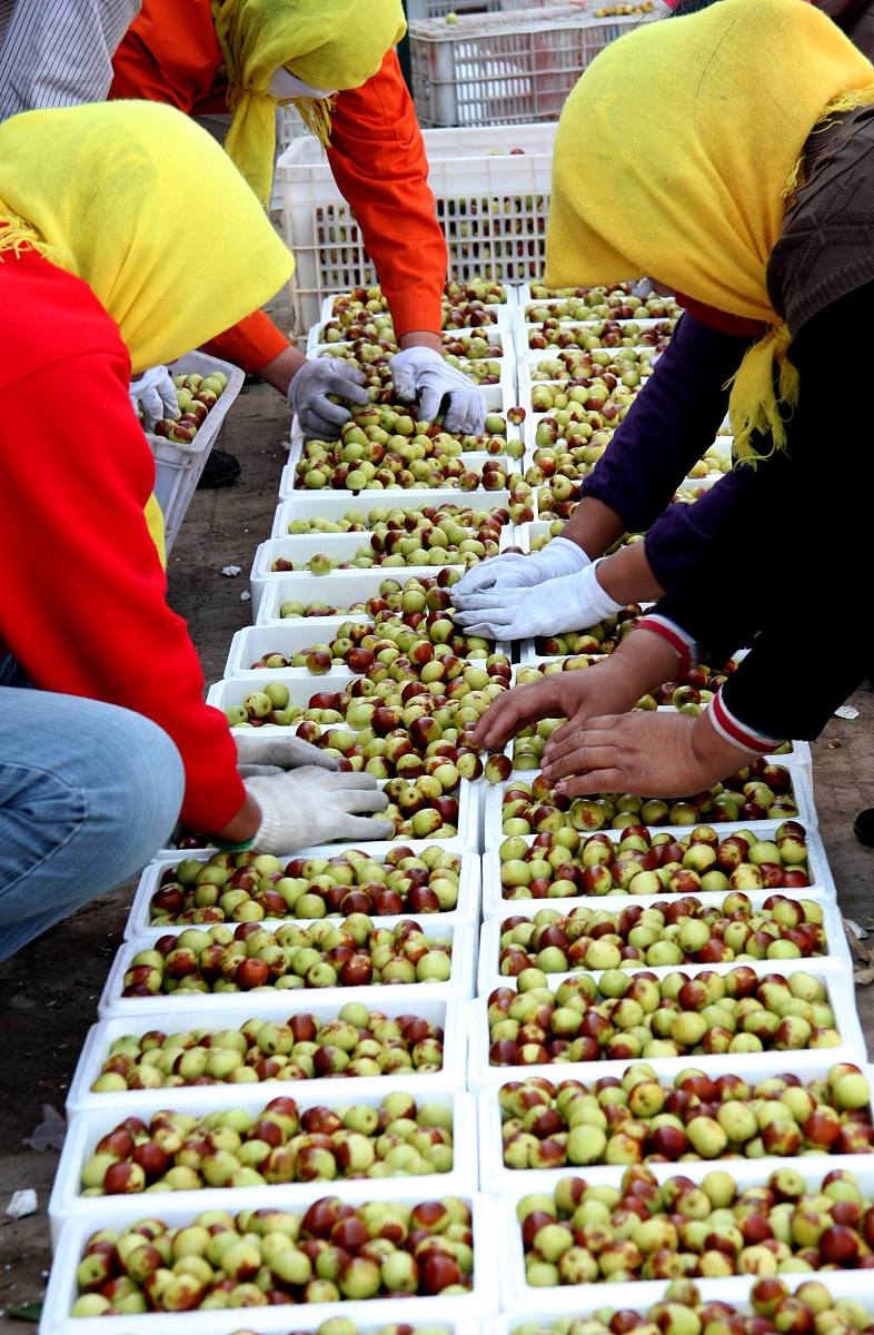 延边大学农林经济管理专业怎么样？特色、优势及就业前景解析