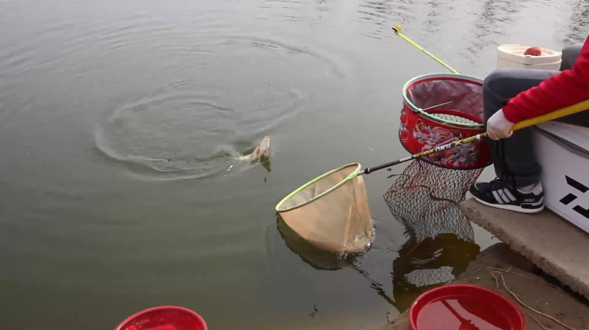 钓鱼高级技巧:刺中鱼后,如何准确称鱼?想快速学会用这套方法