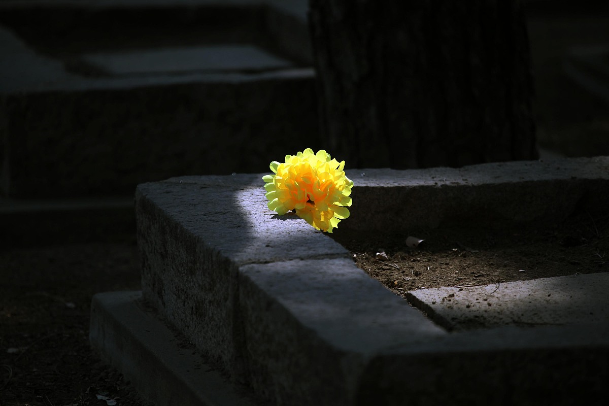 珍惜眼前人：挥挥手或许就是无期