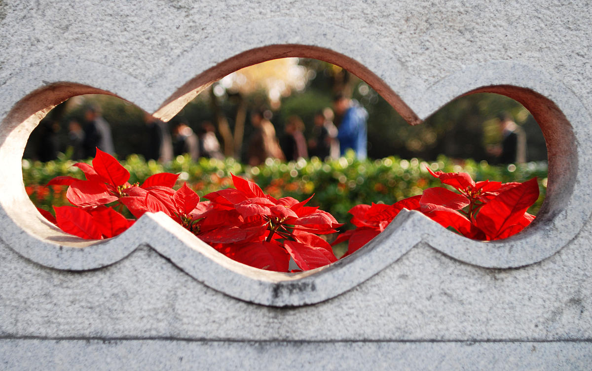 写一个论文主题为 一夫一妻制的定义和历史背景内容为 A 定义一夫一妻制及其特征 B 回顾一夫一妻制的历史发展 C 梳理一夫一妻制在不同文化和宗教背景下的表现