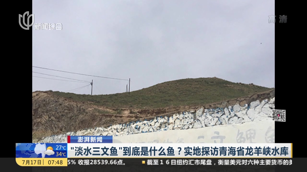 “淡水三文鱼”到底是什么鱼?实地探访青海省龙羊峡水库
