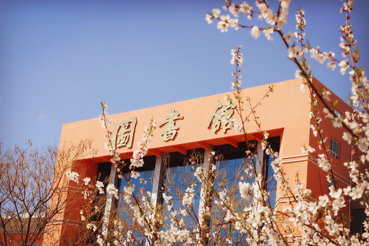 2016年04月07日,在宁夏银川一所大学拍摄的春天的花.