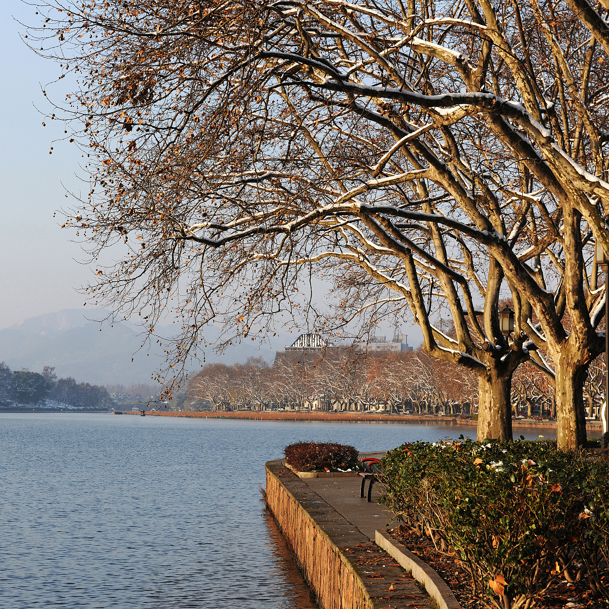 杭州中专学校就业排名-2023年最新数据分析