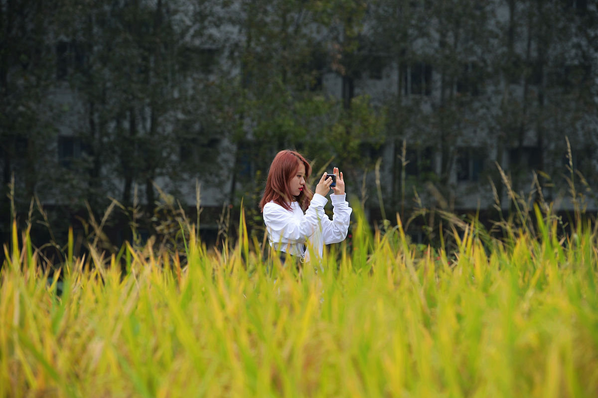 成都2021年哪所电子商务学校最好就业