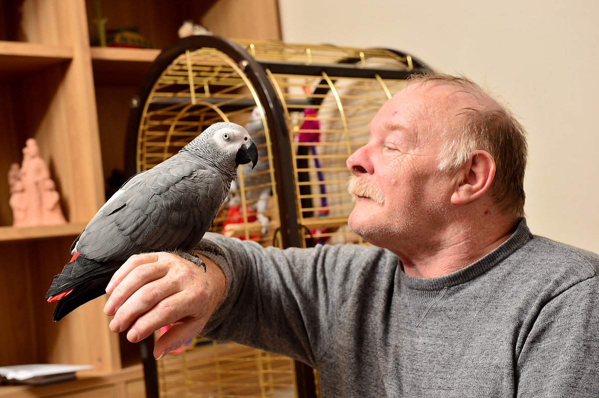 烟雾报警器能有效降低火灾死亡率