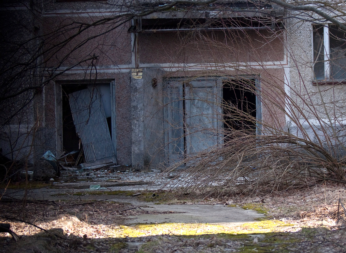 辐射防护剂量测定研究：范围、稿件类型和投稿指南