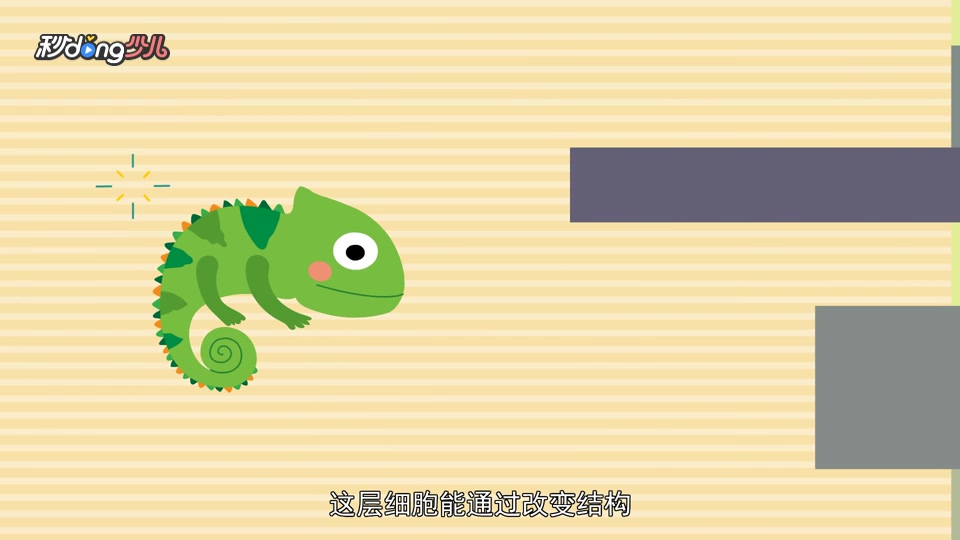变色龙为什么可以变色呢?