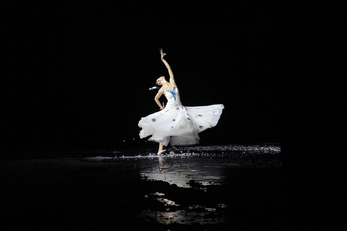 花瓣女舞者：律诗中的曼妙舞姿