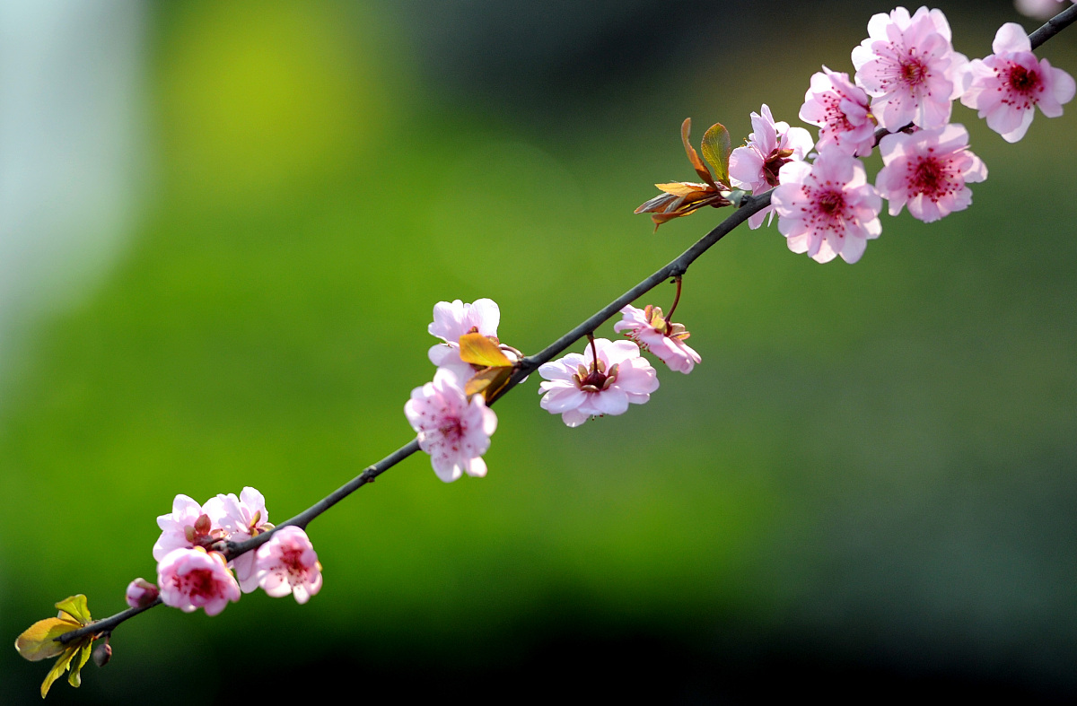 关于声音实验的活动适合在几月份