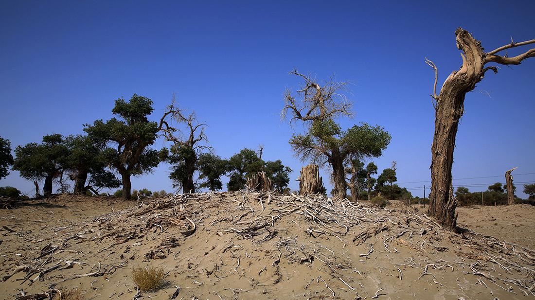 [图]美国荒漠最靓丽一处风景,但至今仍未命名,125年后可能会消失