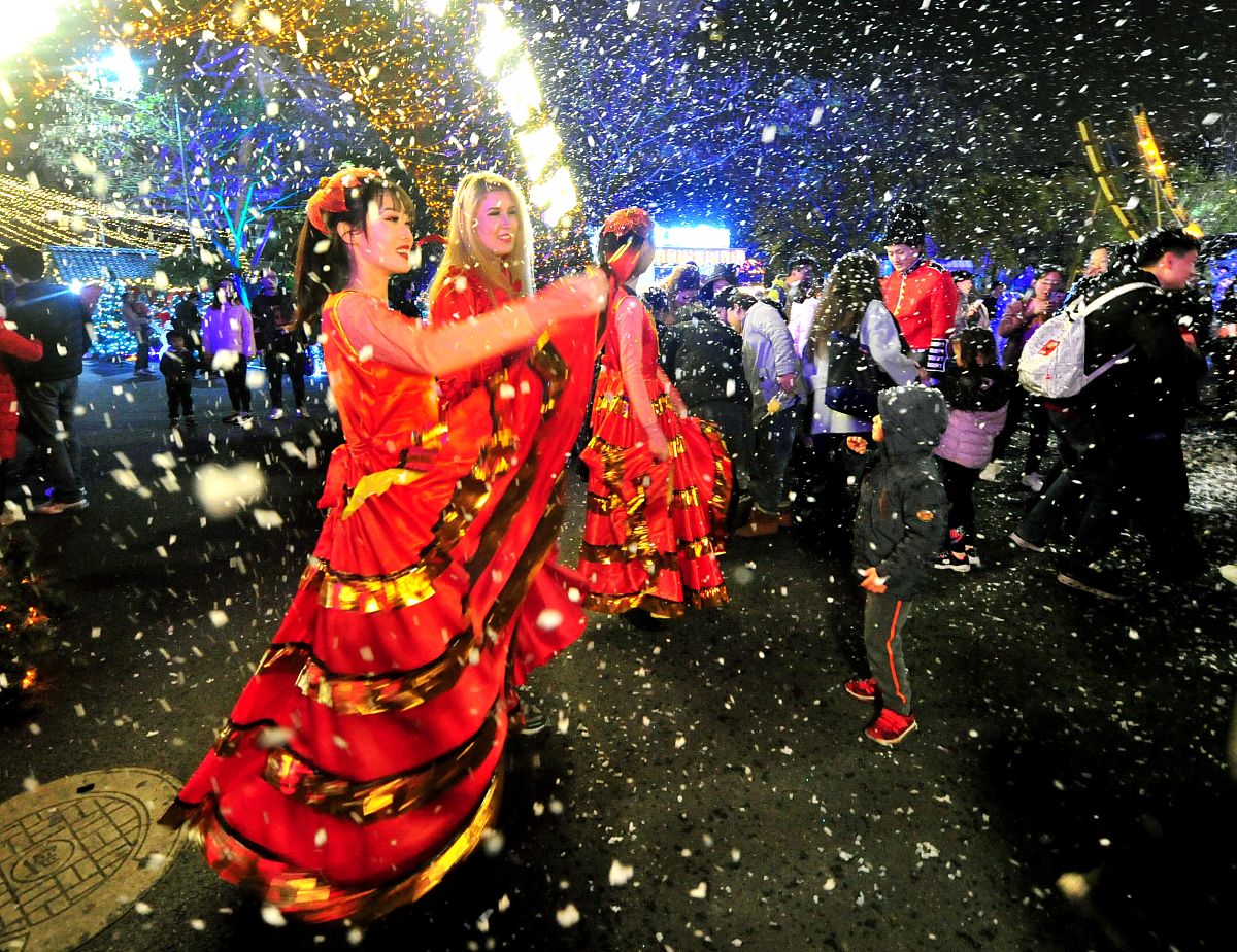 奇幻海边动物村：和谐共处的神奇世界