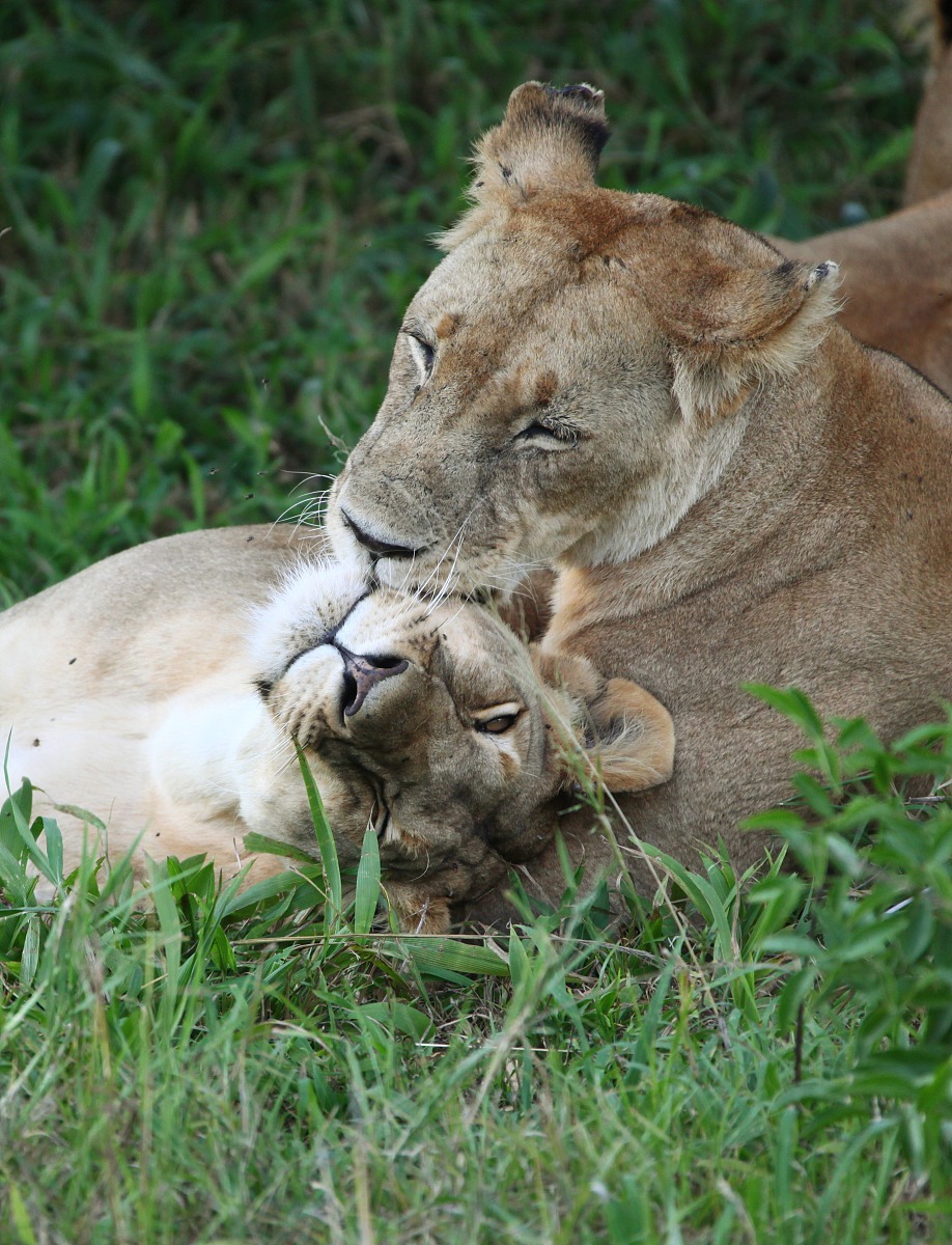 武昌首义师范学院2022年幼师招生简章