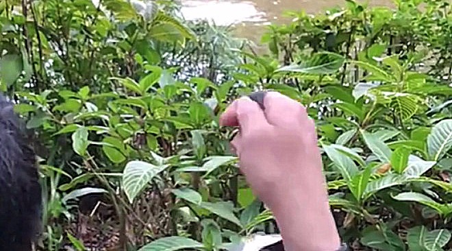 弹弓射鱼镖:自从学会这招,包括邻居在内,再也没买过鱼……