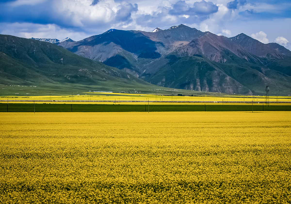 西宁城市职业技术学院单招药剂专业怎么样？值得报考吗？