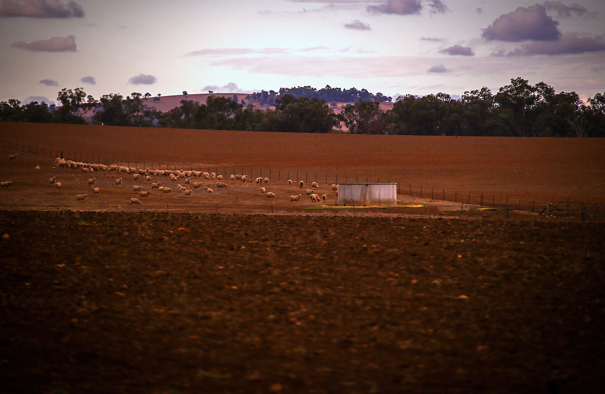 WATER SA期刊：南非水资源与水环境研究权威平台