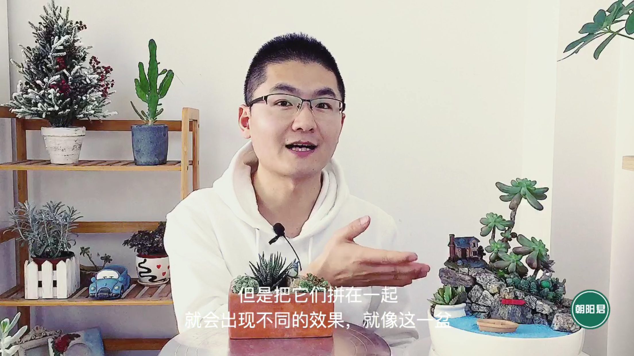 我把这些不值钱多肉,拼在一个花盆里,一盆好看的盆景就出现了