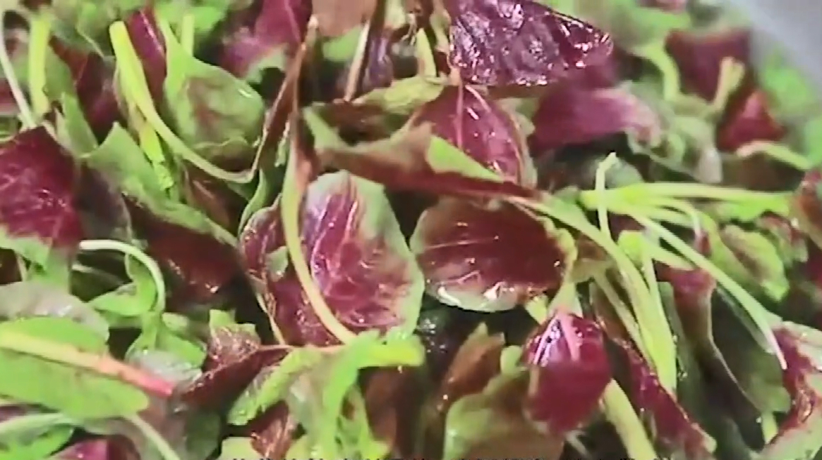 苋菜的功效与作用是什么,有哪些禁忌,不能跟这些食物一块用