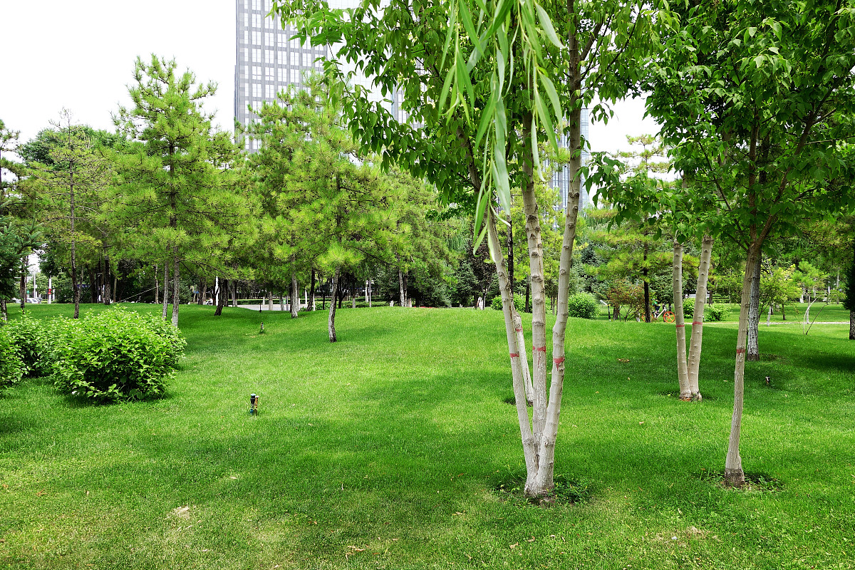 北京农学院园林工程技术专业：优势、发展前景及就业方向