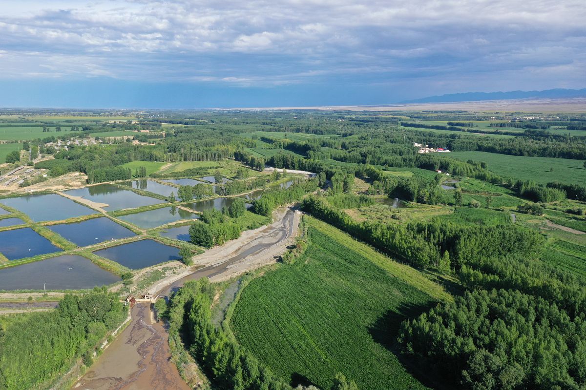 彰武治沙精神：科学治理、绿色发展、生态优先 - 治沙经验与借鉴
