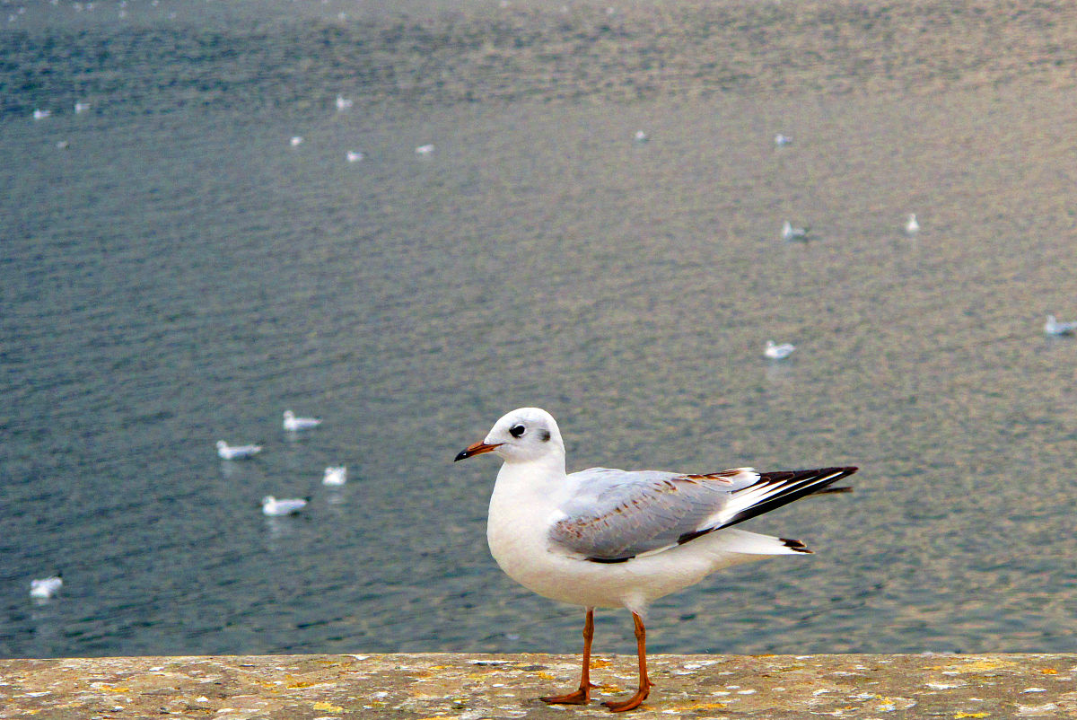 云南昆明的媒体曝光平台有哪些 云南昆明媒体曝光求助热线是多少 要求：创建一篇500至1000字的解决方案
