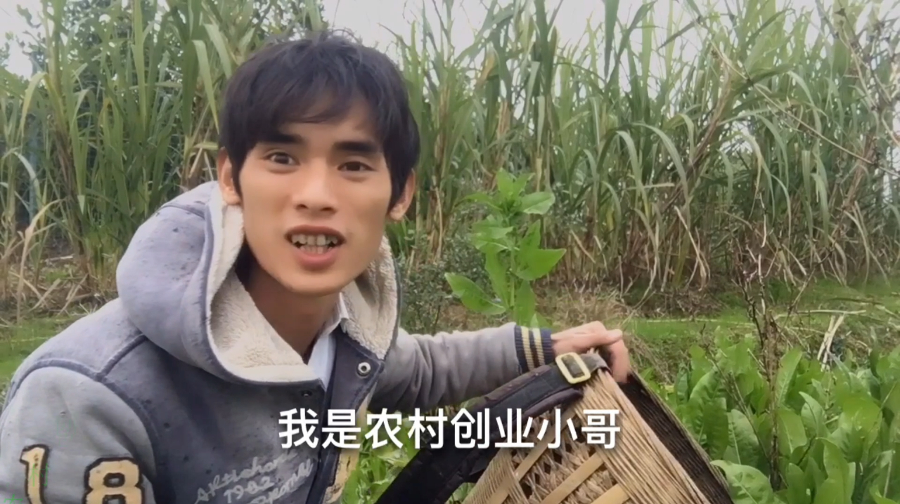 有机蔬菜用来喂鸡,太土豪了,喂出来的鸡更是土
