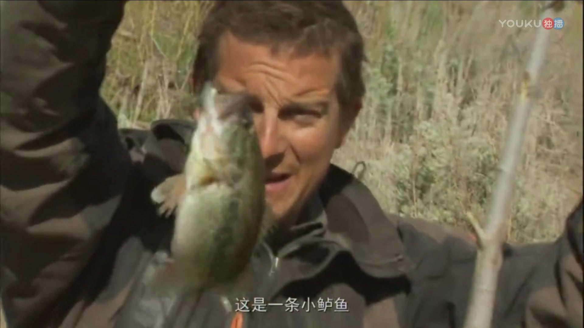 贝爷自制的鱼竿用蛇内脏钓到一条小鲈鱼,哇塞!今晚的晚餐好丰富