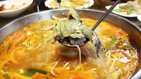 正宗凯里苗寨酸汤鱼,需要这些材料,就能做出家乡味