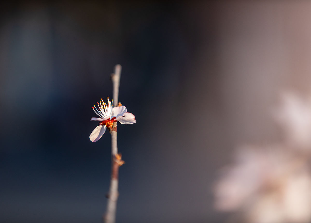 普洱学院2019招生办电话及联系方式