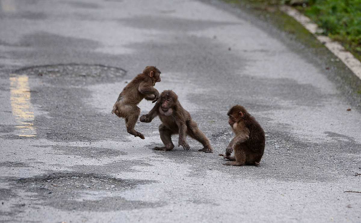 成都航空旅游职业学校报名指南：入学流程、考试内容及素质要求