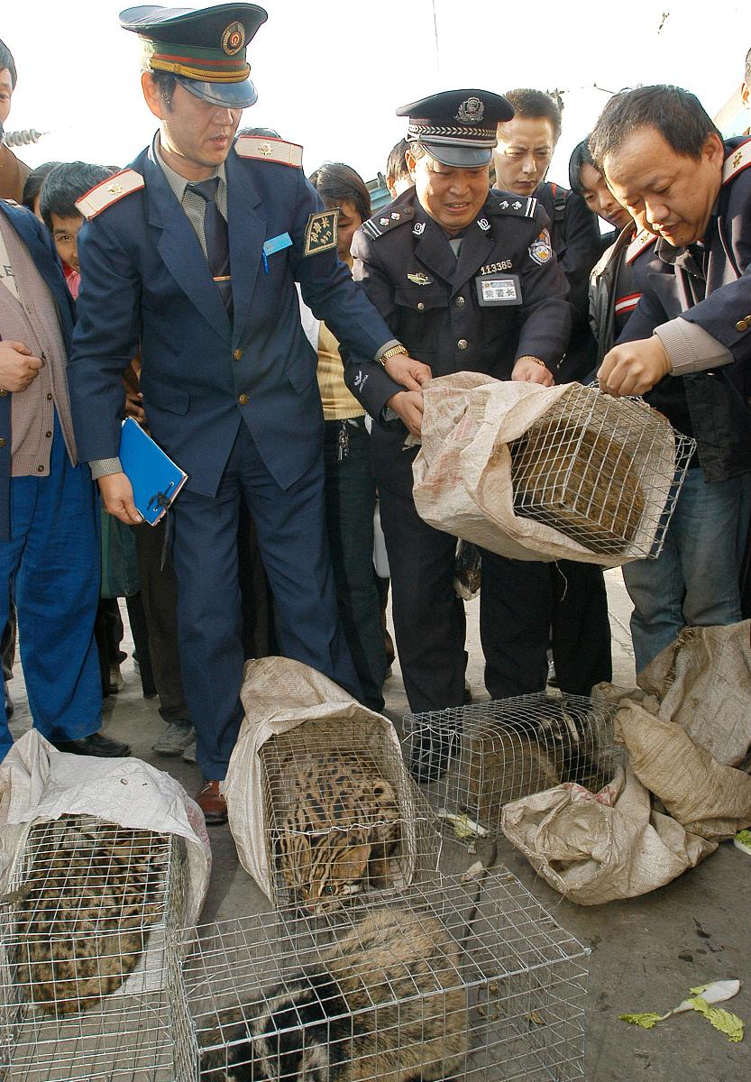 贵阳铁路技工学校：深入解析铁路运营基础知识
