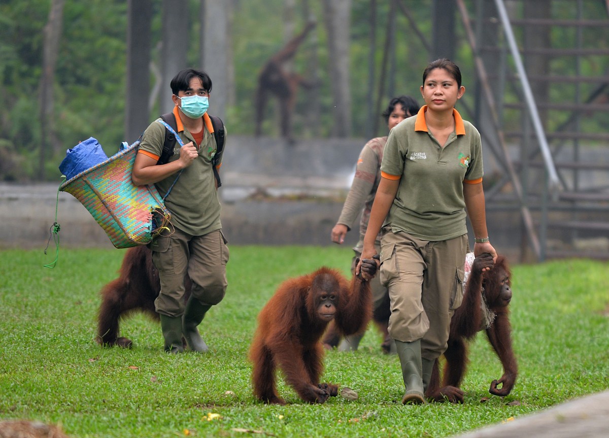 支原体肺炎，全年都可能感染？
