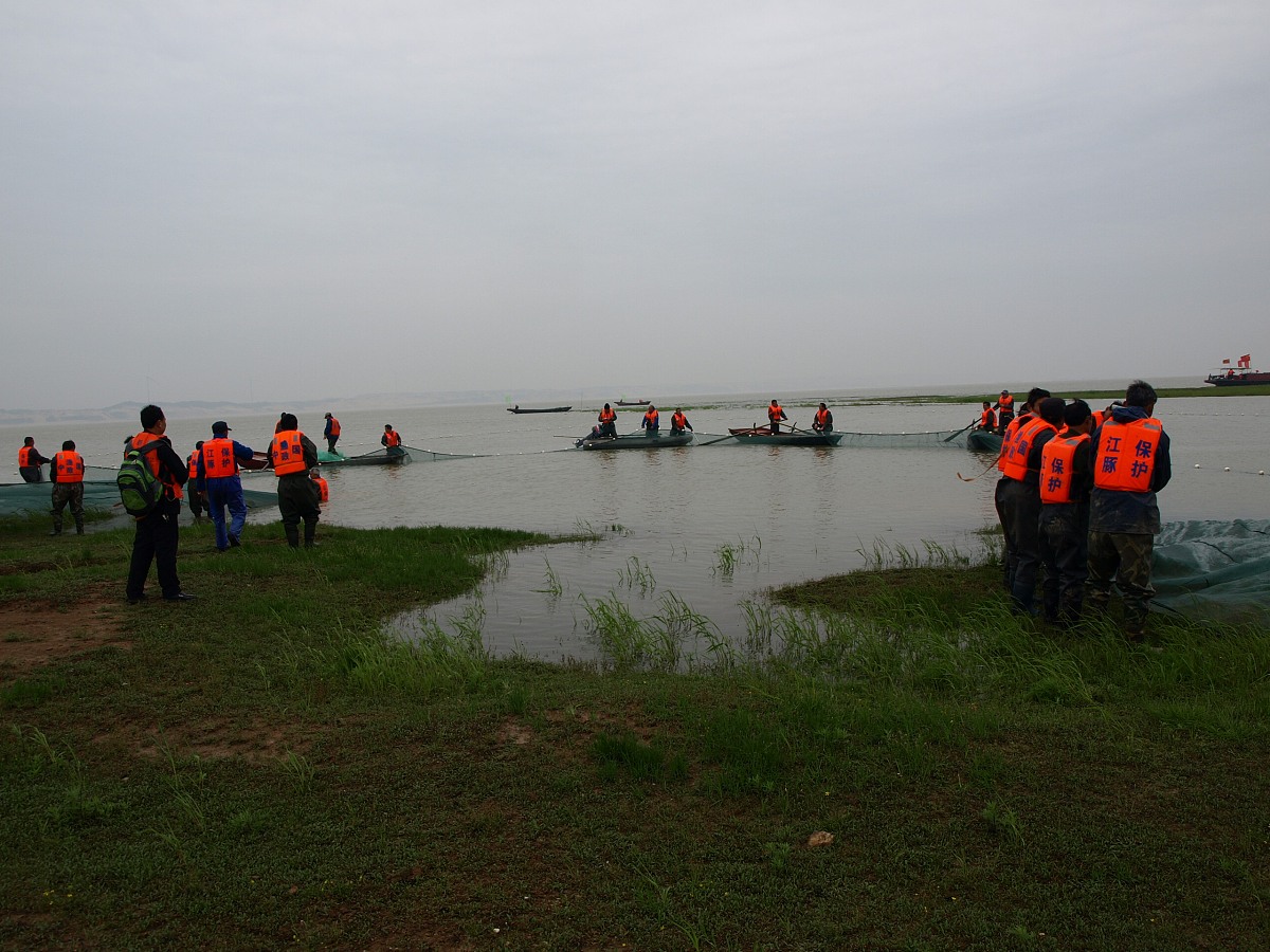 骆马湖水质采样：助力南水北调生态研究