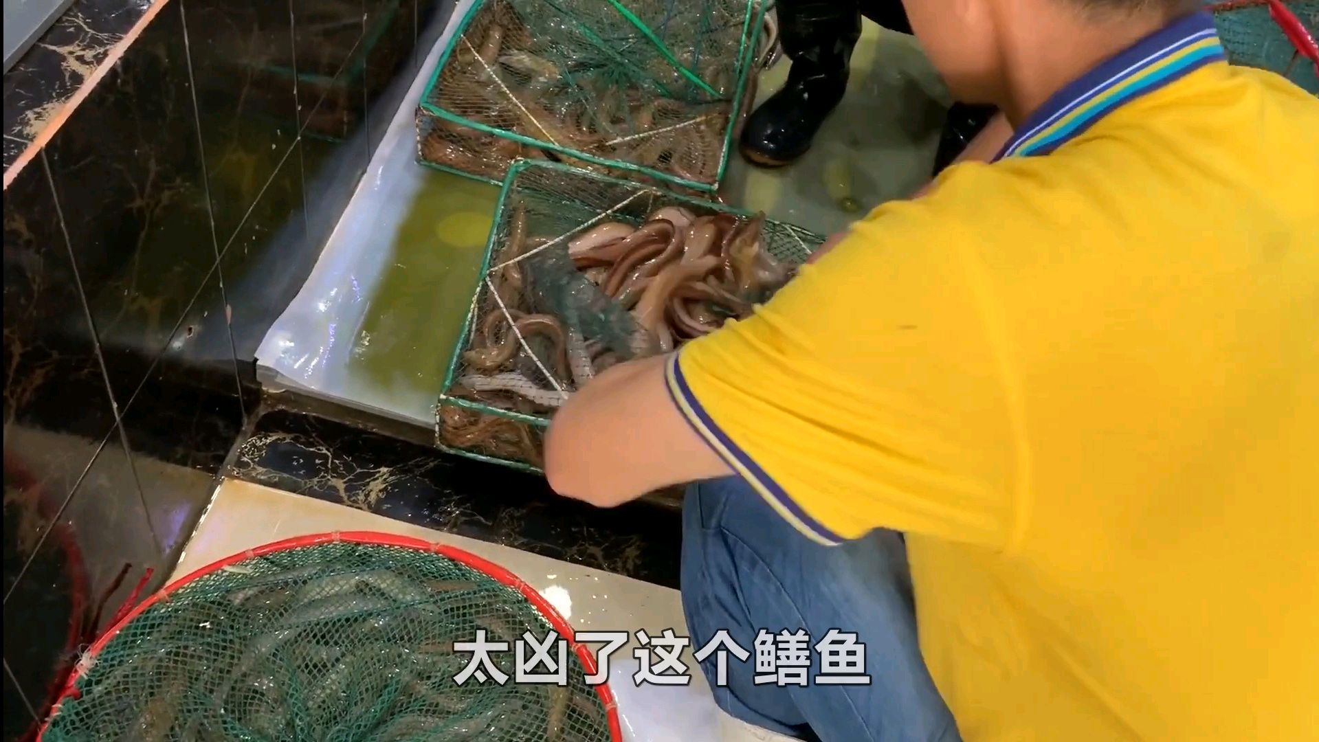 几百斤大海鳗,价值过万,非说要拿去大海放生,究竟出什么状况了