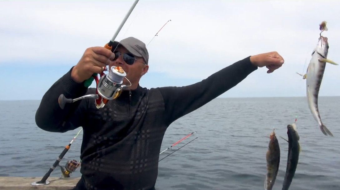 钓鱼:海里的鱼太多了,一竿中五条连成了串儿