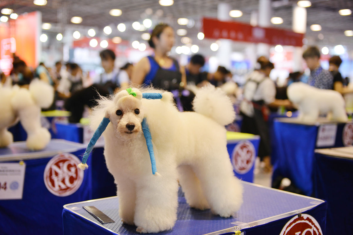 三渲二技术在动画电影中有哪些应用