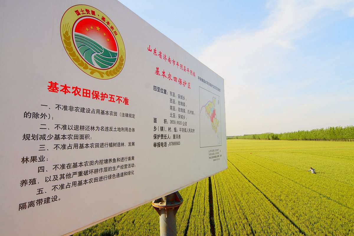 乡镇农产品原产地品牌打造攻略：从特色到营销全方位解析