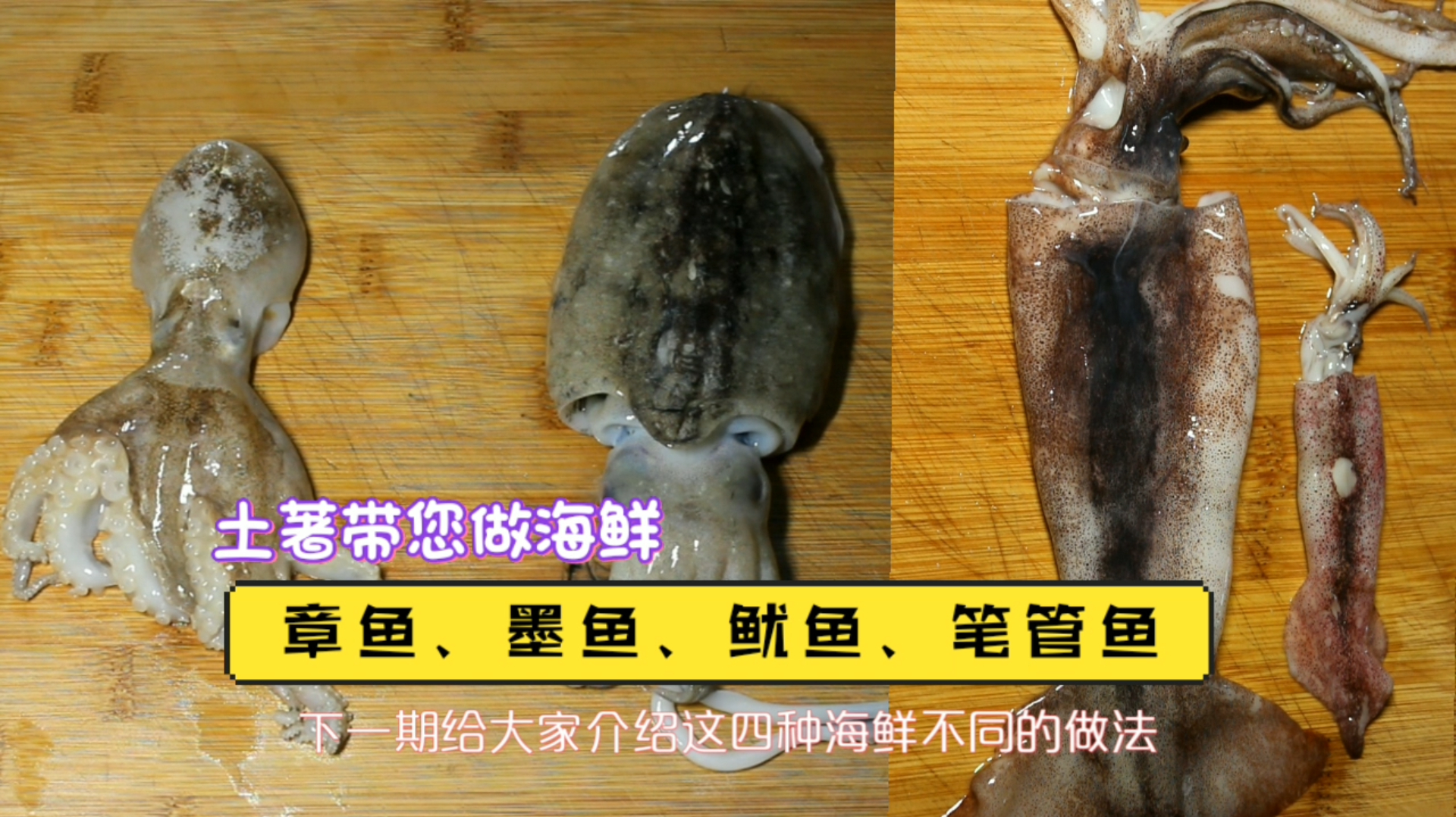 章鱼、墨鱼、鱿鱼、笔管鱼的区分,海鲜的详解,各种海鲜制作