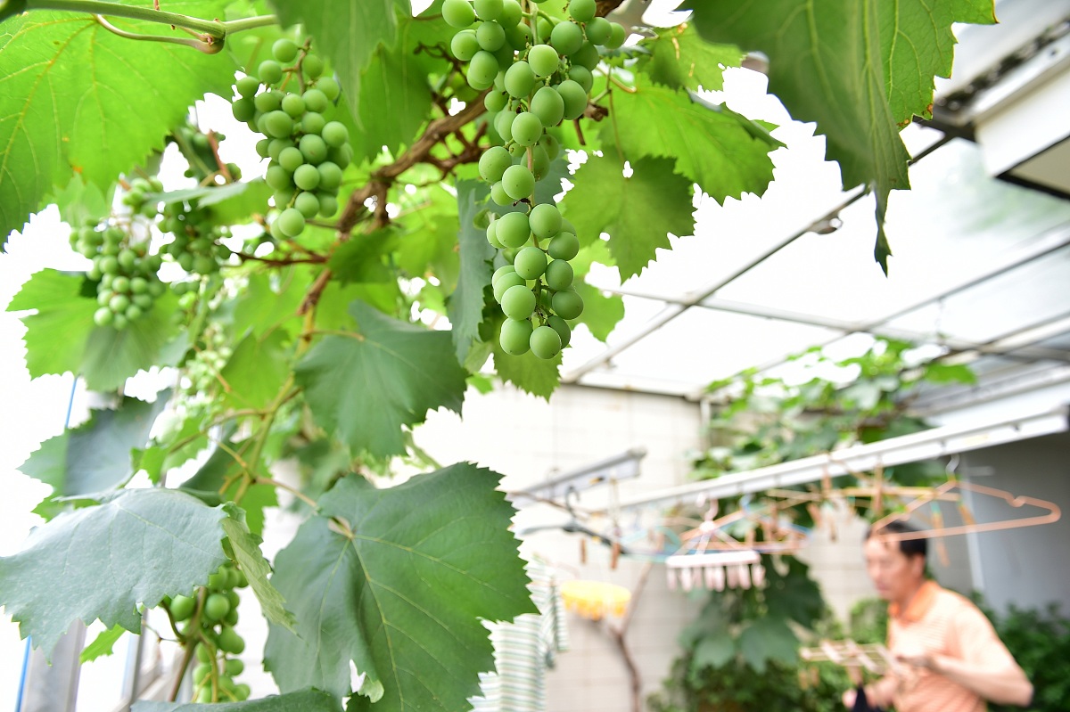 东零西碎是什么意思