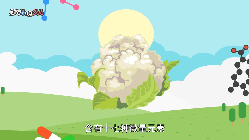 白花菜内物质含量有多高?