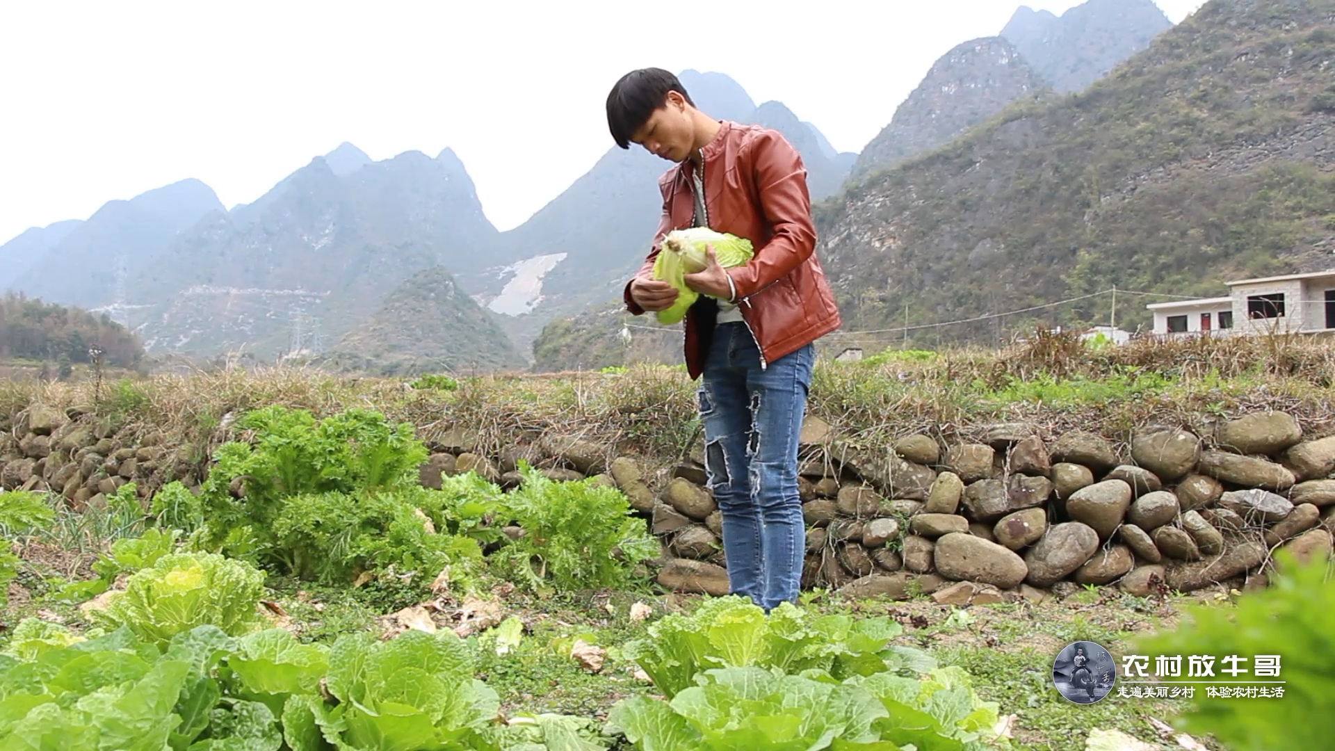 农村真实生活,吃的都是新鲜蔬菜,不会比城里差