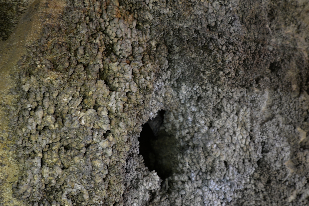 意外险产品组合的长度和宽度